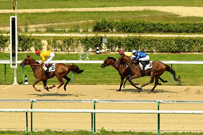 Arrivée quinté pmu PRIX DE PRE-EN-PAIL à DEAUVILLE