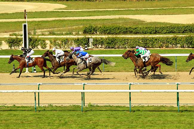 Arrivée quinté pmu PRIX DE GRAIGNES à DEAUVILLE