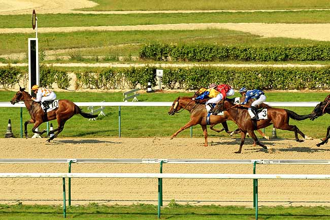 Arrivée quinté pmu PRIX DU MESNIL-ANGOT à DEAUVILLE