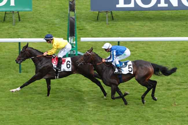 Arrivée quinté pmu PRIX DU PALAIS DES CONGRES à LONGCHAMP