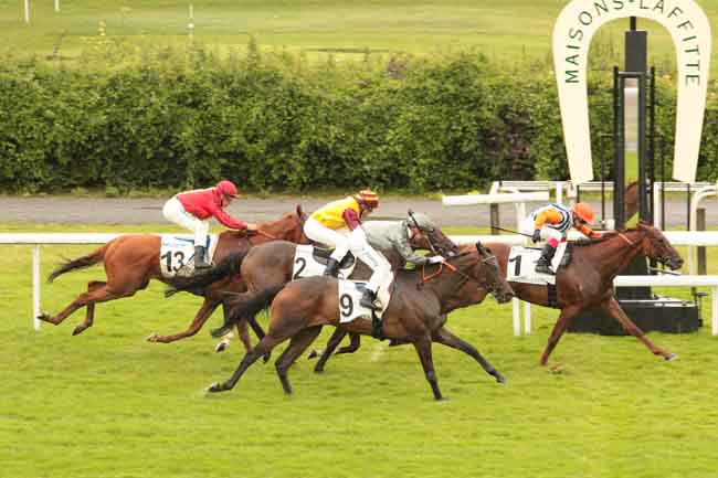 Arrivée quinté pmu PRIX DE LA VILLE DE MAISONS-LAFFITTE à MAISONS-LAFFITTE