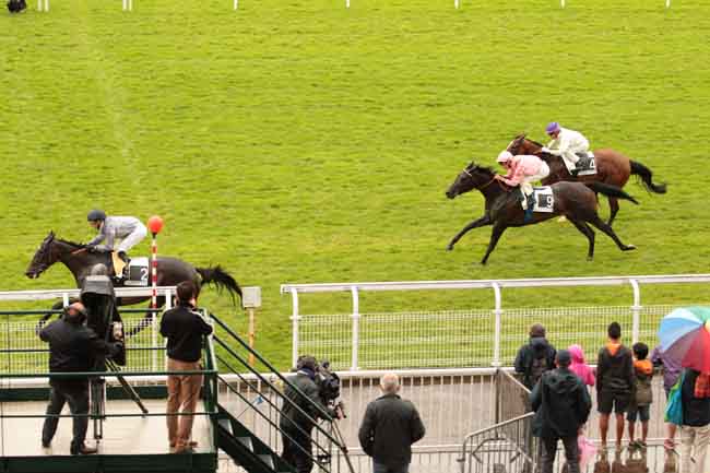 Arrivée quinté pmu PRIX AMANDINE à MAISONS-LAFFITTE