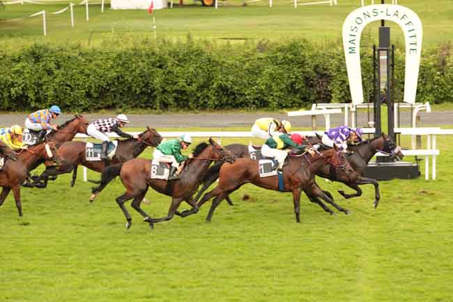 Arrivée quinté pmu PRIX DE LA VILLE DU PECQ à MAISONS-LAFFITTE