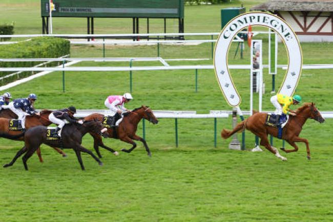 Arrivée quinté pmu PRIX DU MONCEL à COMPIEGNE