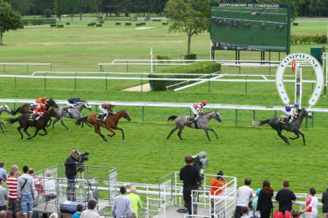 Arrivée quinté pmu PRIX DU THEATRE IMPERIAL à COMPIEGNE