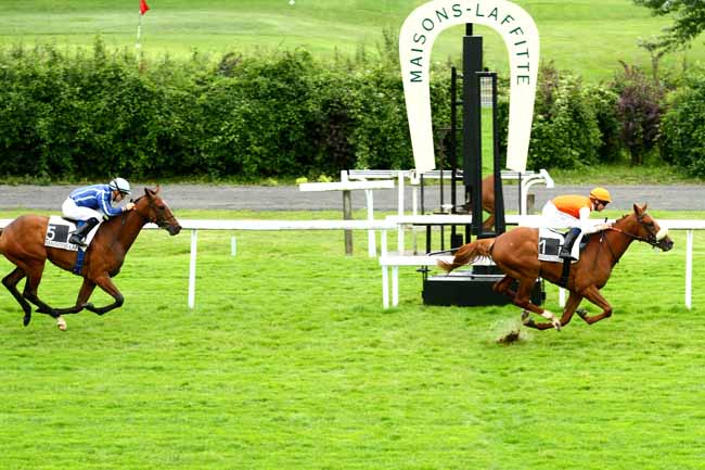 Arrivée quinté pmu PRIX DE MARLY-LE-ROI à MAISONS-LAFFITTE