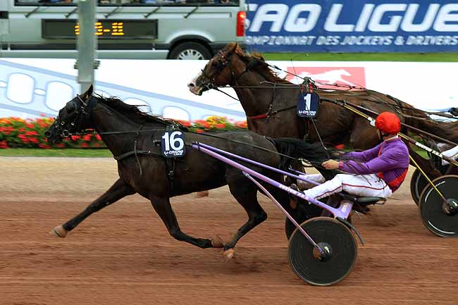Arrivée quinté pmu PRIX DU JOURNAL GENYCOURSES  - PRIX PAUL VIEL à CABOURG