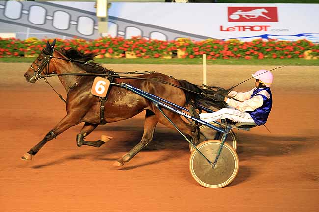 Arrivée quinté pmu PRIX DES HEMEROCALLES à CABOURG