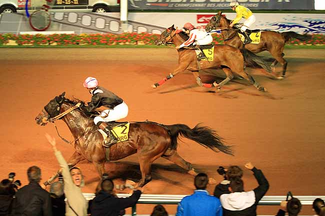 Arrivée quinté pmu PRIX DES AMARYLLIS à CABOURG