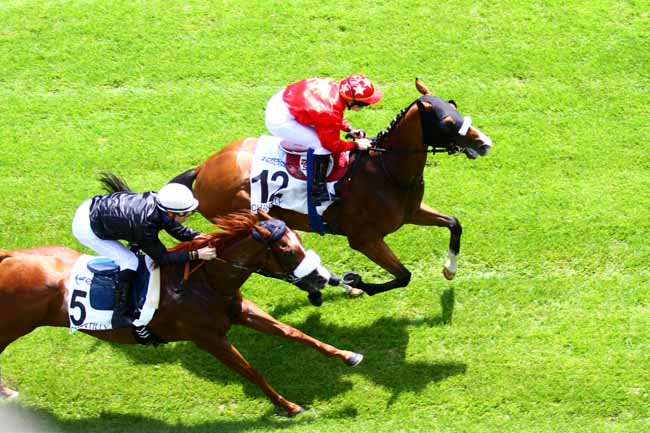 Arrivée quinté pmu PRIX D'ORRY à CHANTILLY