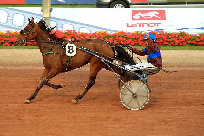 Arrivée quinté pmu PRIX DE LA VILLE D'AUBERVILLE (GR B) à CABOURG