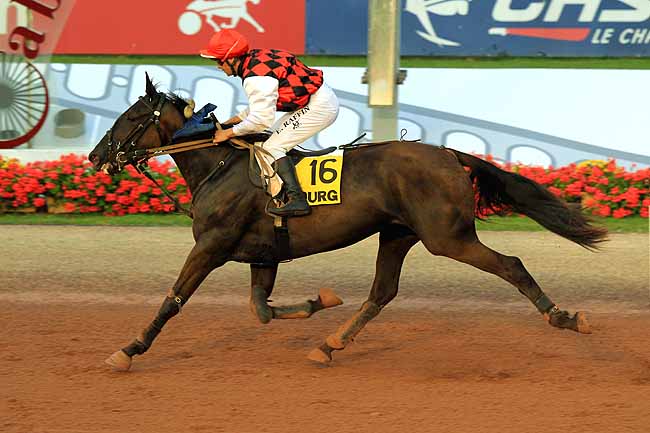 Arrivée quinté pmu PRIX DE LA VILLE DE DIVES-SUR-MER à CABOURG