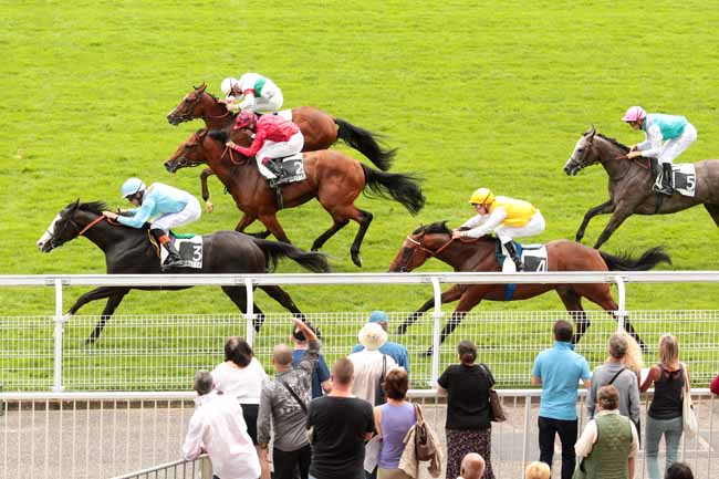 Arrivée quinté pmu PRIX ROBERT PAPIN à MAISONS-LAFFITTE