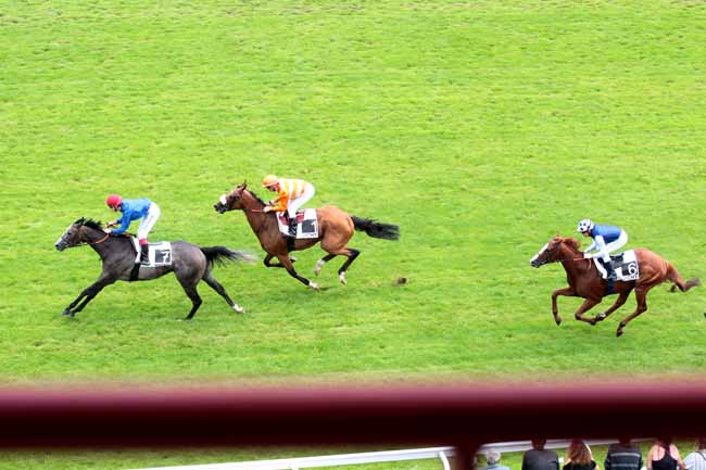 Arrivée quinté pmu PRIX JEAN BOULARD à VICHY