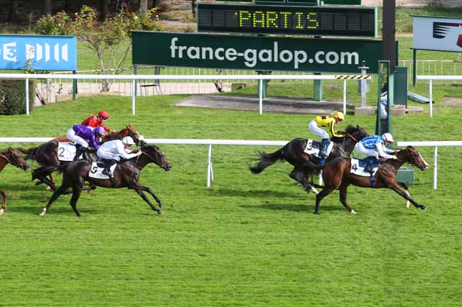 Photo d'arrivée de la course pmu PRIX DE BOIS D'ARCY à SAINT-CLOUD le Jeudi 8 octobre 2015