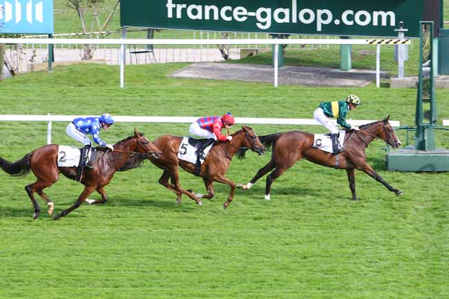 Photo d'arrivée de la course pmu PRIX GUEMUL à SAINT-CLOUD le Jeudi 8 octobre 2015