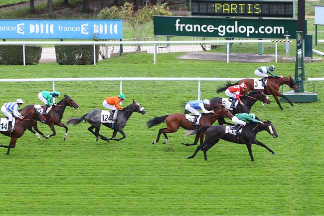 Photo d'arrivée de la course pmu PRIX DE BUZENVAL à SAINT-CLOUD le Jeudi 8 octobre 2015