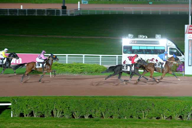 Photo d'arrivée de la course pmu PRIX DE LA PORTE SAINT-DENIS à ENGHIEN le Jeudi 8 octobre 2015