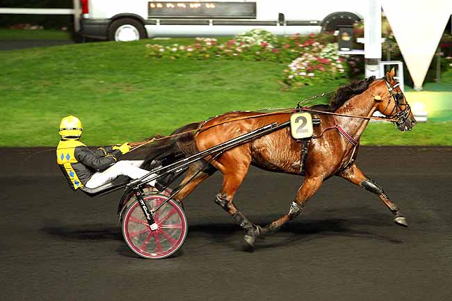 Photo d'arrivée de la course pmu PRIX BOHEMIA à PARIS-VINCENNES le Vendredi 9 octobre 2015