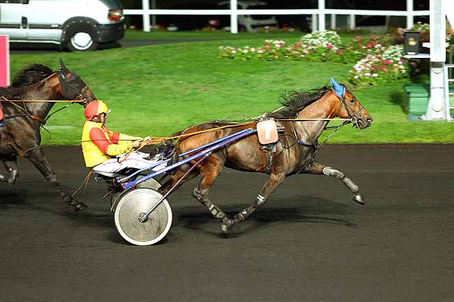 Photo d'arrivée de la course pmu PRIX ASPASIA à PARIS-VINCENNES le Vendredi 9 octobre 2015