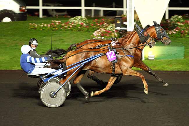 Photo d'arrivée de la course pmu PRIX ORIONIS à PARIS-VINCENNES le Vendredi 9 octobre 2015