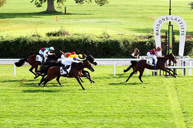 Photo d'arrivée de la course pmu PRIX IDALIE à MAISONS-LAFFITTE le Samedi 10 octobre 2015