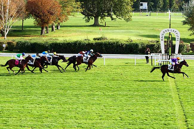 Photo d'arrivée de la course pmu PRIX DE SAINT-PAIR DU MONT à MAISONS-LAFFITTE le Samedi 10 octobre 2015