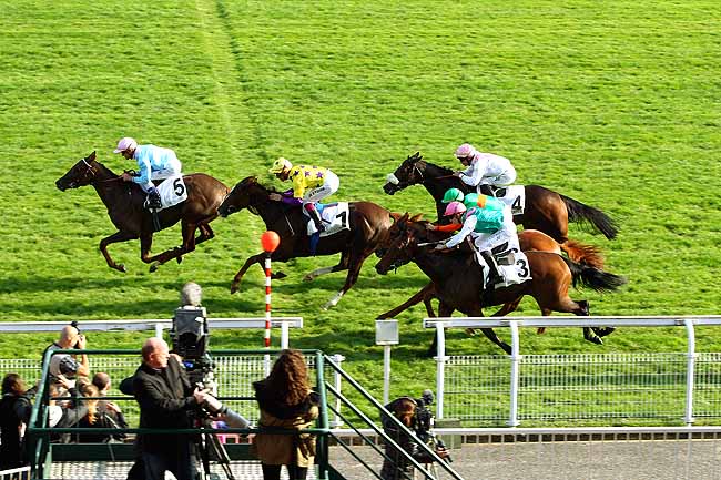 Photo d'arrivée de la course pmu PRIX GRIS PERLE à MAISONS-LAFFITTE le Samedi 10 octobre 2015