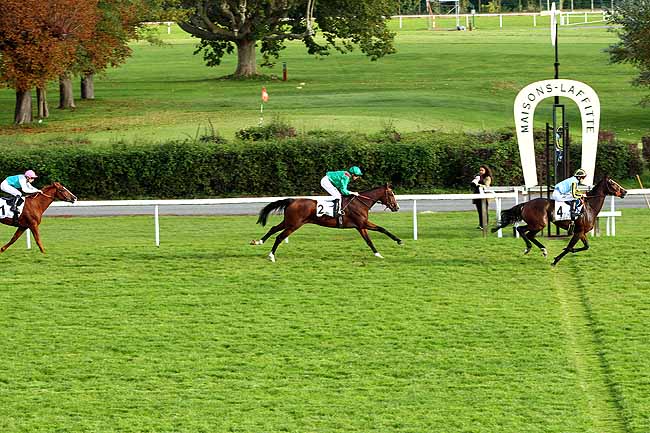 Photo d'arrivée de la course pmu PRIX DEEP ROOTS à MAISONS-LAFFITTE le Samedi 10 octobre 2015