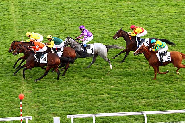 Photo d'arrivée de la course pmu PRIX DE SAINT-ARNOULT-EN-YVELINES à MAISONS-LAFFITTE le Samedi 10 octobre 2015