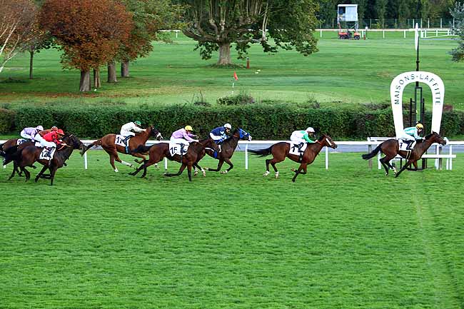 Photo d'arrivée de la course pmu PRIX DE SAINT-MARTIN DU CHENE à MAISONS-LAFFITTE le Samedi 10 octobre 2015