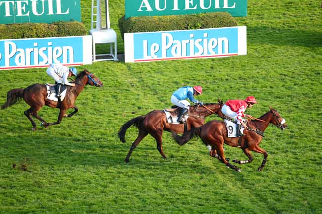 Photo d'arrivée de la course pmu PRIX HEROS XII à AUTEUIL le Dimanche 11 octobre 2015