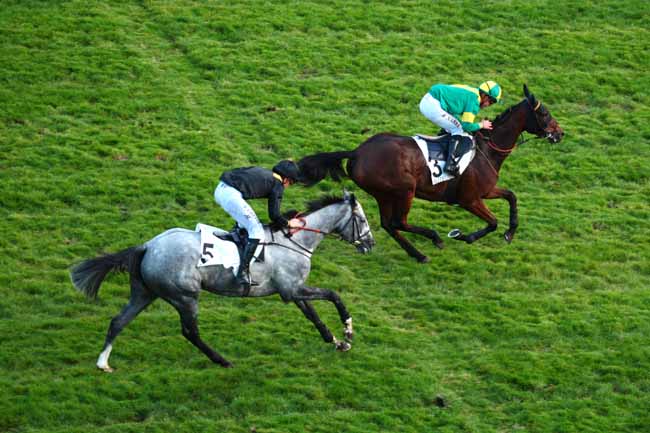 Photo d'arrivée de la course pmu PRIX JACK BARBE à AUTEUIL le Dimanche 11 octobre 2015