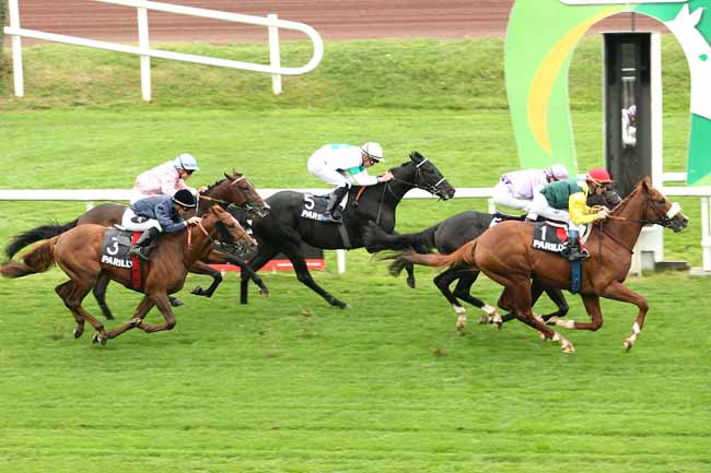 Photo d'arrivée de la course pmu PRIX MESSAGERIE LYONNAISE DE PRESSE MLP à LYON-PARILLY le Mardi 13 octobre 2015