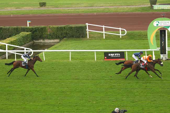 Photo d'arrivée de la course pmu PRIX DES ORCHIDEES à LYON-PARILLY le Mardi 13 octobre 2015