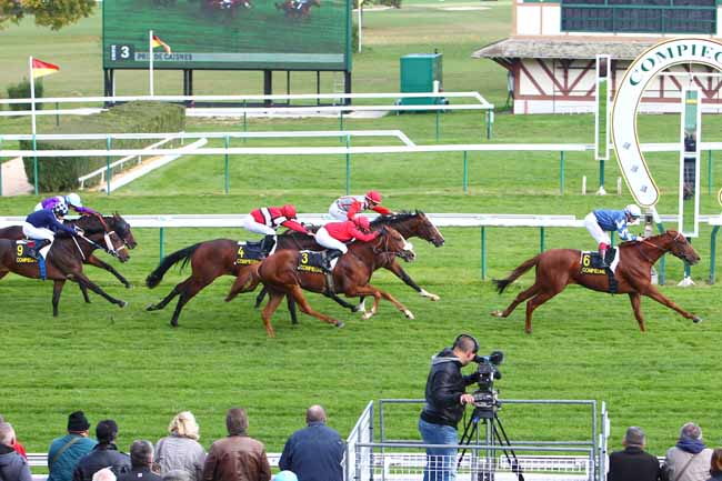 Photo d'arrivée de la course pmu PRIX DE CAISNES à COMPIEGNE le Mardi 13 octobre 2015