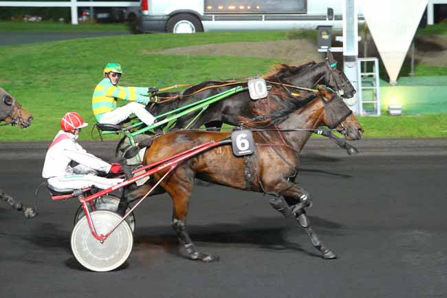 Photo d'arrivée de la course pmu PRIX OPHIUCUS à PARIS-VINCENNES le Mardi 13 octobre 2015