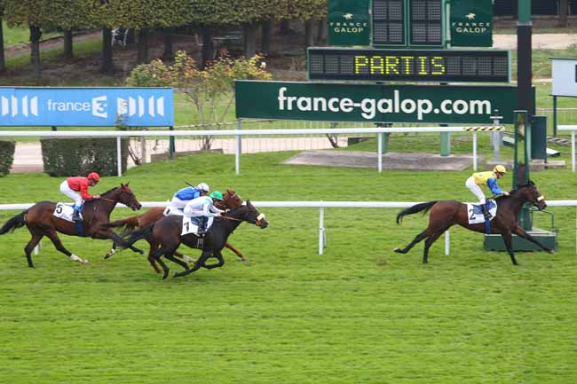 Photo d'arrivée de la course pmu PRIX MARGOUILLAT à SAINT-CLOUD le Mercredi 14 octobre 2015