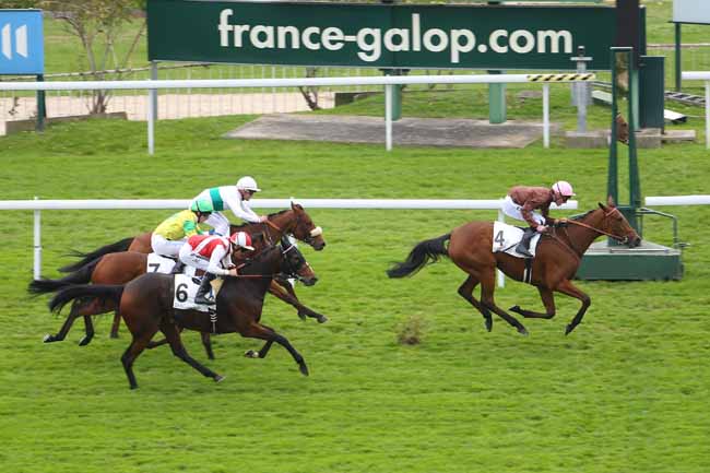 Photo d'arrivée de la course pmu PRIX DAHLIA- FONDS EUROPEEN DE L'ELEVAGE à SAINT-CLOUD le Mercredi 14 octobre 2015
