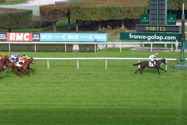 Photo d'arrivée de la course pmu PRIX DE LAMARQUE à SAINT-CLOUD le Mercredi 14 octobre 2015