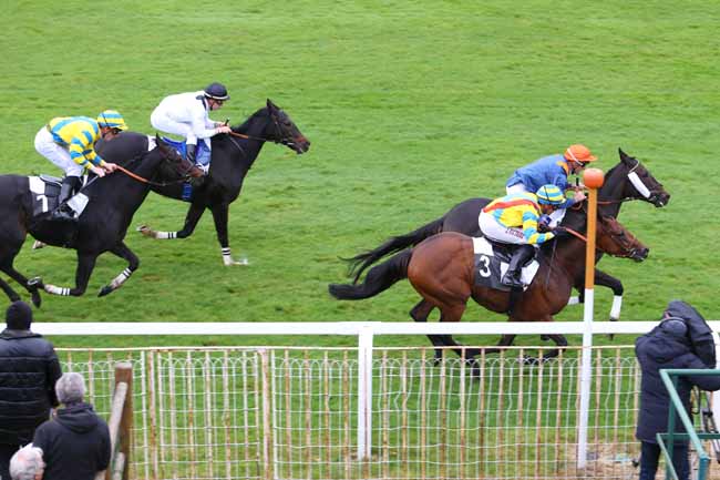 Photo d'arrivée de la course pmu PRIX DES ALISIERS à FONTAINEBLEAU le Jeudi 15 octobre 2015
