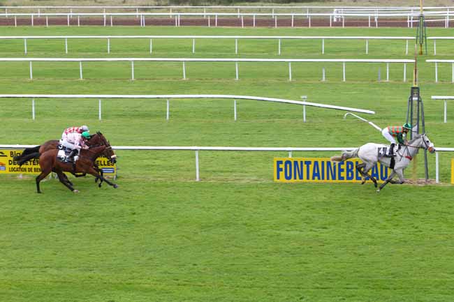 Photo d'arrivée de la course pmu PRIX BARON DE LA ROCHETTE à FONTAINEBLEAU le Jeudi 15 octobre 2015