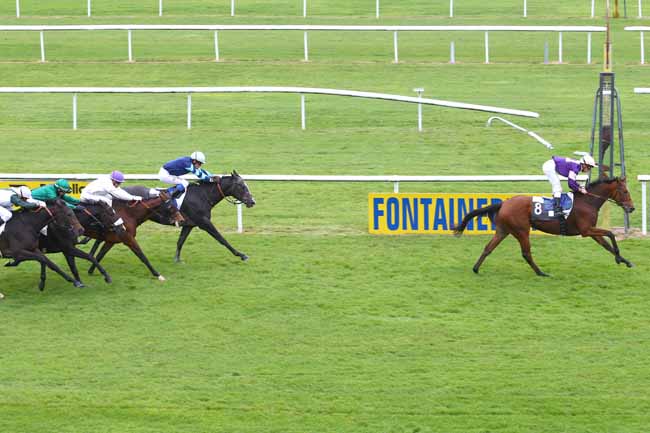 Photo d'arrivée de la course pmu PRIX DU TREMBLAY à FONTAINEBLEAU le Jeudi 15 octobre 2015
