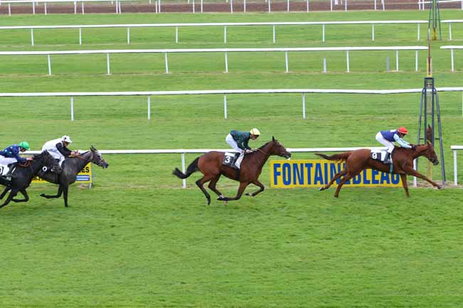 Photo d'arrivée de la course pmu PRIX DE LA MARE AUX EVEES à FONTAINEBLEAU le Jeudi 15 octobre 2015
