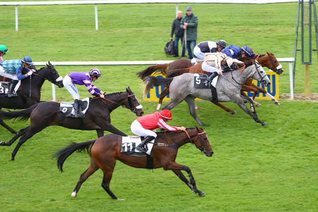 Photo d'arrivée de la course pmu PRIX JEAN GILLOIS à FONTAINEBLEAU le Jeudi 15 octobre 2015