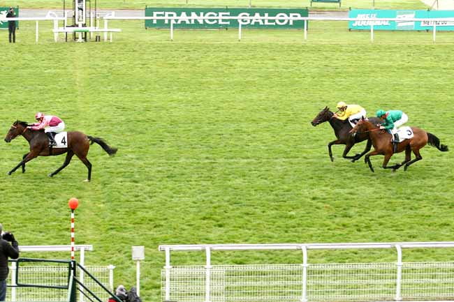 Photo d'arrivée de la course pmu PRIX TENEBREUSE à MAISONS-LAFFITTE le Vendredi 16 octobre 2015