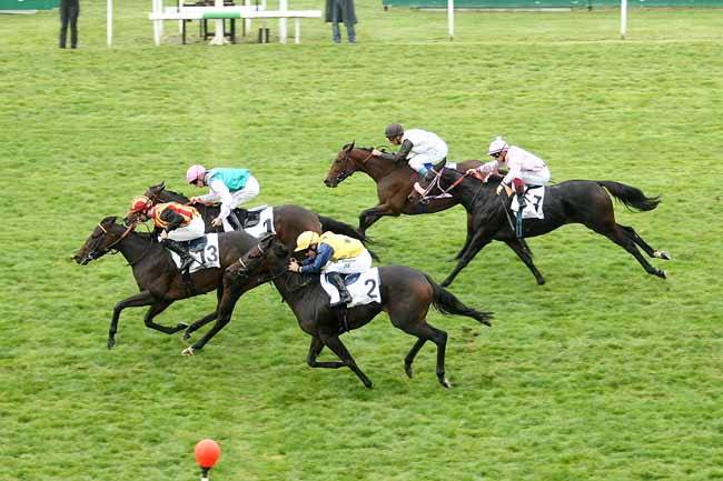 Photo d'arrivée de la course pmu PRIX DE SAINT-CYR à MAISONS-LAFFITTE le Vendredi 16 octobre 2015
