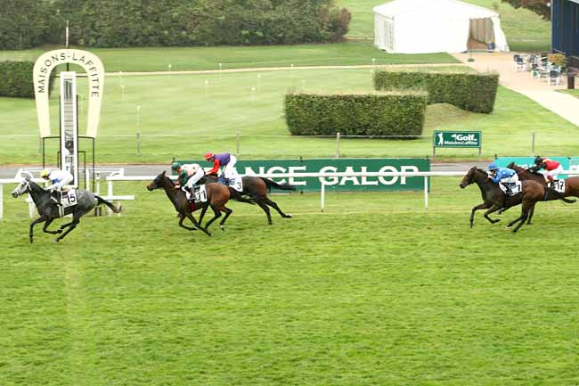 Photo d'arrivée de la course pmu PRIX DE LAMBALLE à MAISONS-LAFFITTE le Vendredi 16 octobre 2015