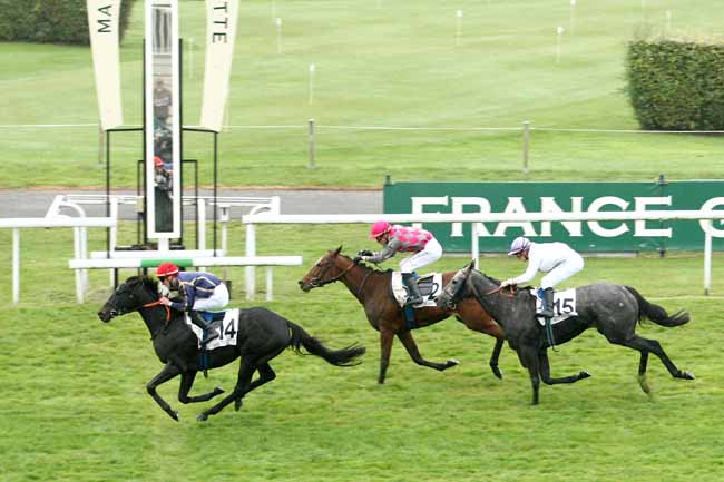 Photo d'arrivée de la course pmu PRIX DE PENTHIEVRE à MAISONS-LAFFITTE le Vendredi 16 octobre 2015