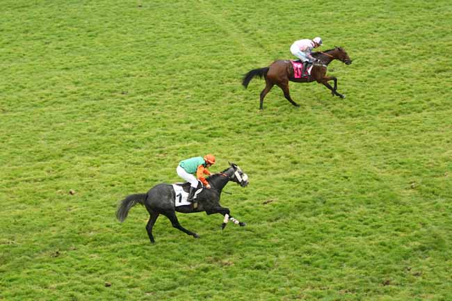 Photo d'arrivée de la course pmu PRIX PRINCE D'ECOUEN à AUTEUIL le Samedi 17 octobre 2015